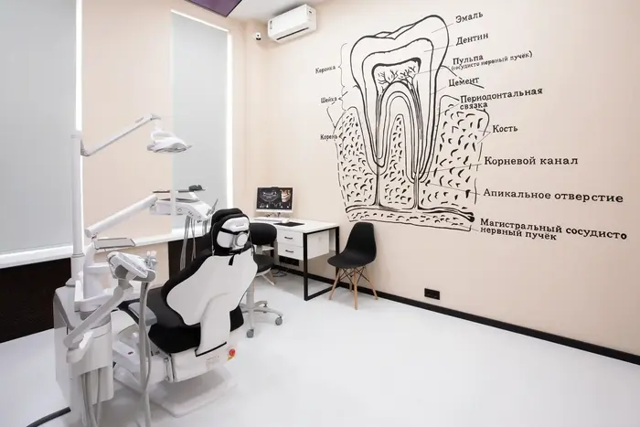 Стоматология Dental Vision Pro